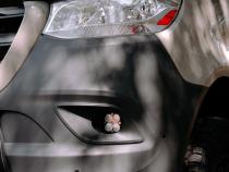 Squadron Pro Fog Pocket Kit 19-24 Sprinter 1500/2500/3500 (Wide Cornering; Clear)